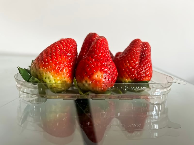 Flip-Lid Clamshell